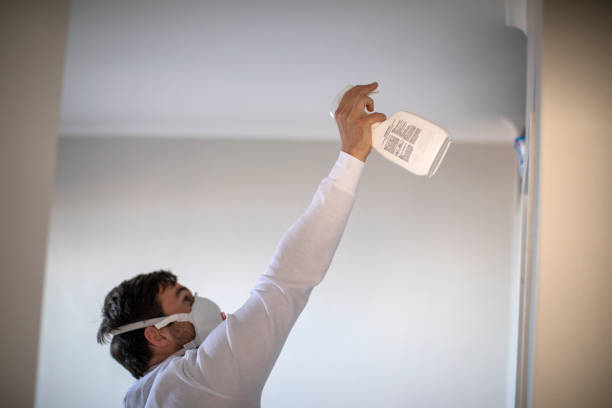 Best Emergency Mold Remediation in Cortland, OH